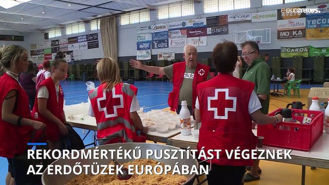 660 ezer hektár terület égett le idén Európában erdőtüzekben, a fele Spanyolországban