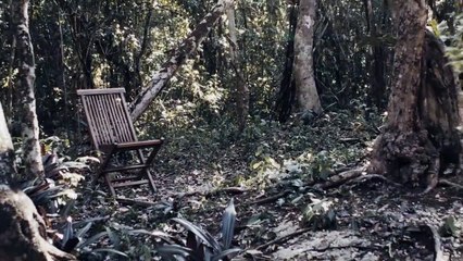 Selvazama _ Legado sin precedentes