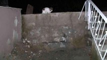 Osmaniye haber | Avcılar'da İSKİ çalışmasında bahçe duvarı hasar gördü, yağmur suları evin içine doldu