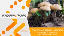 T2 Ep. 09 - Nanakateras. Legado ancestral de Acaxochitlán. | Contextos, reportajes que revelan nuestra realidad.