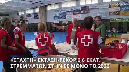 Αρνητικό ρεκόρ πυρκαγιών στην ΕΕ - Στάχτη πάνω από 6,5 εκατ. στρέμματα