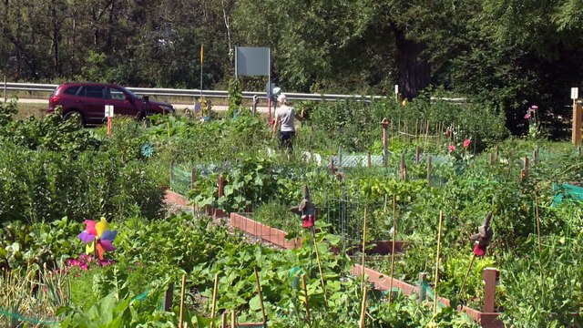 CH 15 Aout TOPO Vols jardin communautaire La Malbaie WEB