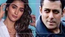 Both Of The Actors Salman Khan And Pooja Hegde Are Setup To Shoot For Bhai Jaan