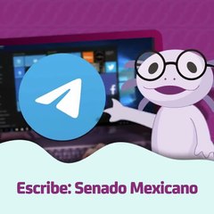 El Senado de la República invita a usuarios a formar parte de su comunidad en Telegram
