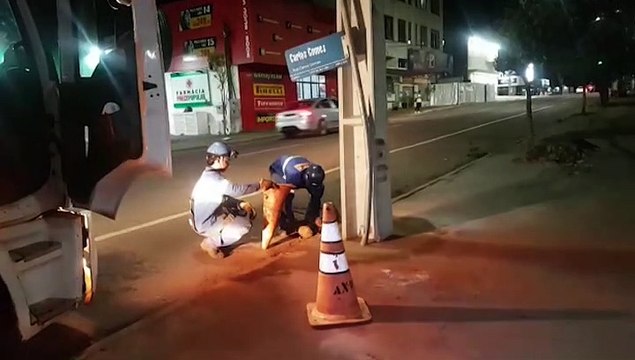 Copel reestabelece energia elétrica em Poste na Av. Carlos Gomes, após colisão que ocorreu na parte da manhã