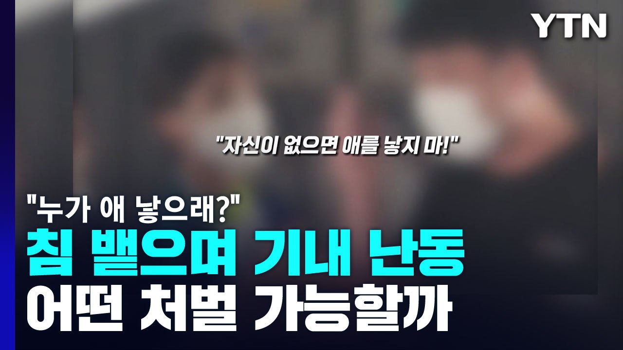 "누가 애 낳으래?" 기내 난동 부린 남성, 처벌 가능할까 / YTN