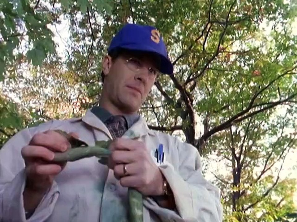 Gänsehaut - Die Stunde der Geister Staffel 1 Folge 13 HD Deutsch