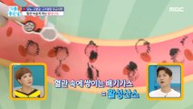 [HEALTHY] 'Active oxygen' that rusts blood vessels, 기분 좋은 날 220816
