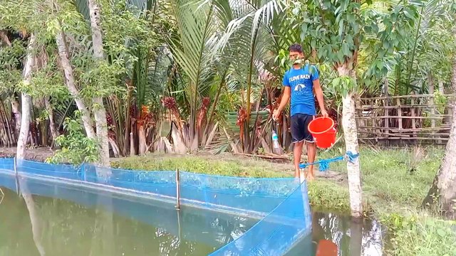 Best Hook Fish Trap Plastic Bottle Fish Trap Many Plastic Bottle Fishing Method