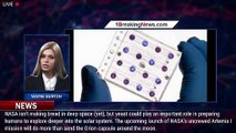 NASA Yeast Mission Will Send Living Organisms to Deep Space - 1BREAKINGNEWS.COM