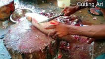 Amazing Big Mrigal Fish Cutting Skills Video in Fish Market #fishcutting #fishcuttingskills