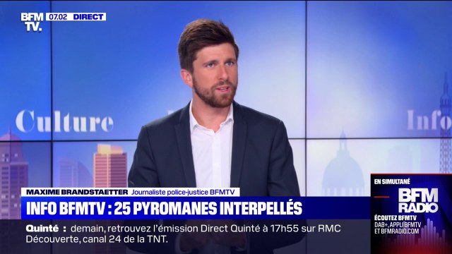 Incendies: 25 individus soupçonnés d'être pyromanes interpellés