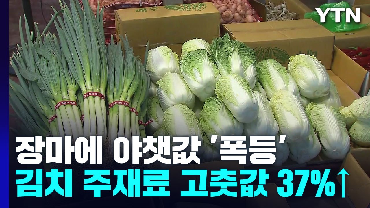 "폭우에 작물 다 녹아"...명절 앞두고 밥상 물가 '비상' / YTN