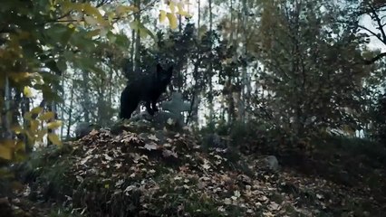 RAVEN'S HOLLOW Trailer (2022) William Moseley