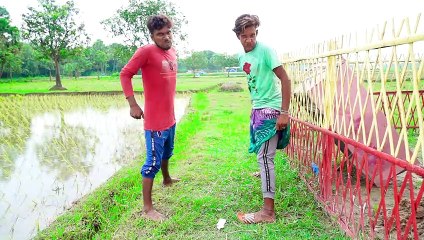 New Top Comedy Videos--Totally Amazing Funny Video