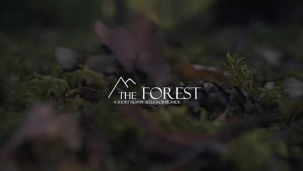 THE FOREST  _ Cinematic short film _ Nature B-roll
