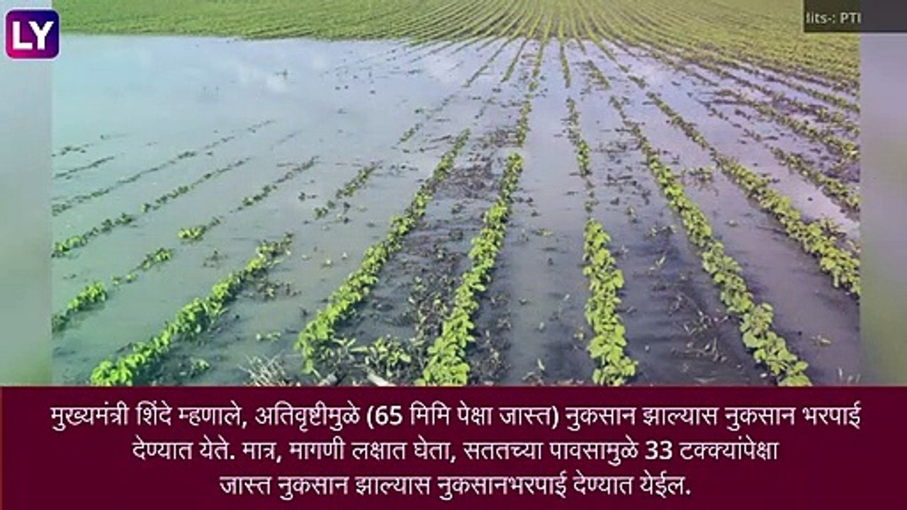 Compensation to Farmers: शेतकऱ्यांना नुकसानभरपाई मिळणार तात्काळ, मोबाईल अ‍ॅपद्वारे होणार पंचनामे
