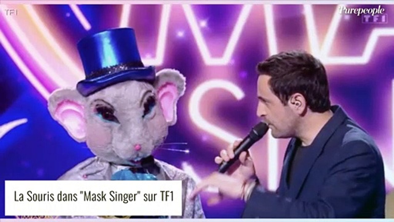 Mask Singer 4 - La Souris  : Tous les indices dévoilés