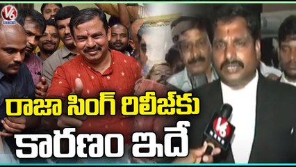 Lawyer About Raja SIngh Remand Rejection | V6 News