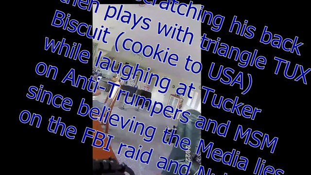 Charlie Roo Scratches His Back Then Plays with his TUX biscuit while we laugh w/Tucker on Raid Lies