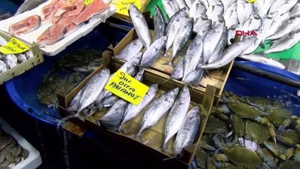 İSTANBUL'DA SEZONUN İLK PALAMUTLARI TEZGAHA ÇIKTI