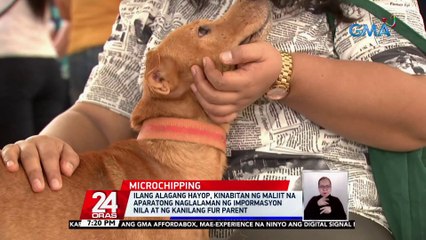 Hayop na may microchip, puwedeng dalhin sa city vet o vet clinics para maibalik sa may-ari sakaling mawala | 24 Oras