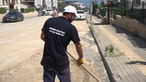 Bursa yerel haberi: Mudanya'da Sel Sonrası Onarım ve Temizlik Çalışmaları Devam Ediyor