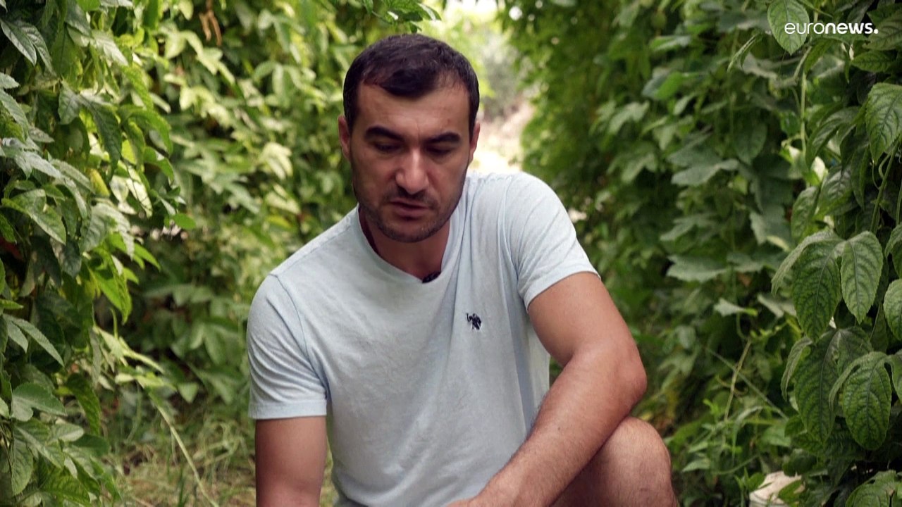 Not macht erfinderisch - Landwirt düngt mit Kaffeesatz