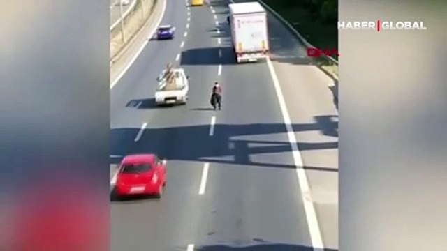 TEM Otoyolu'nda yaptıklarına inanamayacaksınız! İşte o yayanın dehşete düşüren görüntüleri