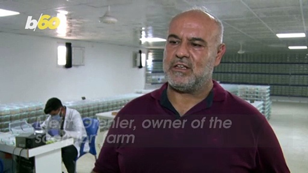 Not for the Faint of Heart! This Lab is Milking Scorpions!