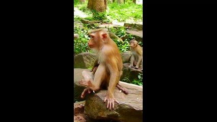 16=Rainbow exhausted no milk. So hungry