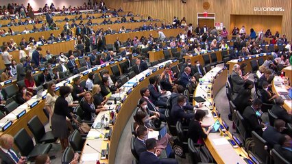 Comienza la última ronda de negociaciones para proteger a los océanos