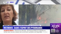 Comment les enquêteurs définissent-ils les causes des incendies?