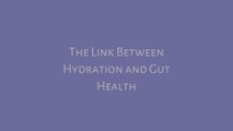 The Link Between Hydration and Gut Health