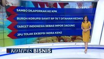 Yakin! Jokowi: Target Indonesia Bebas Impor Jagung 2 Tahun Lagi
