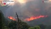 Spanish firefighters battle10,000 hectares blaze