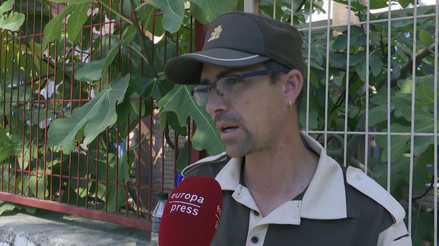 El viento complica la extinción en Vall d'Ebo y varios municipios son desalojados