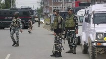 Kashmiri Pandit shot dead, brother injured: How should govt deal with targeted killings in Kashmir?