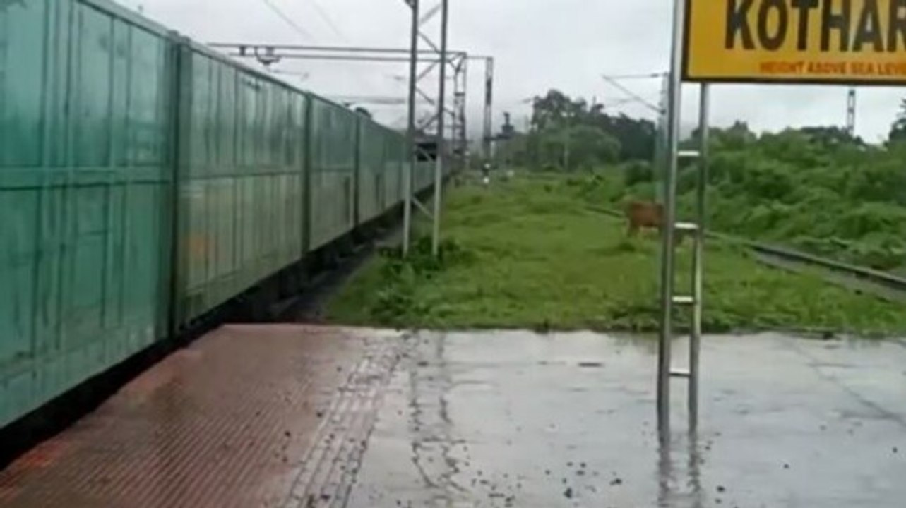 Images of the day: Railways conducts test run of the 3.5-km-long freight train; Mahua flaunts football skills