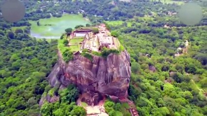 If You See This In The Jungle, Ask For Help