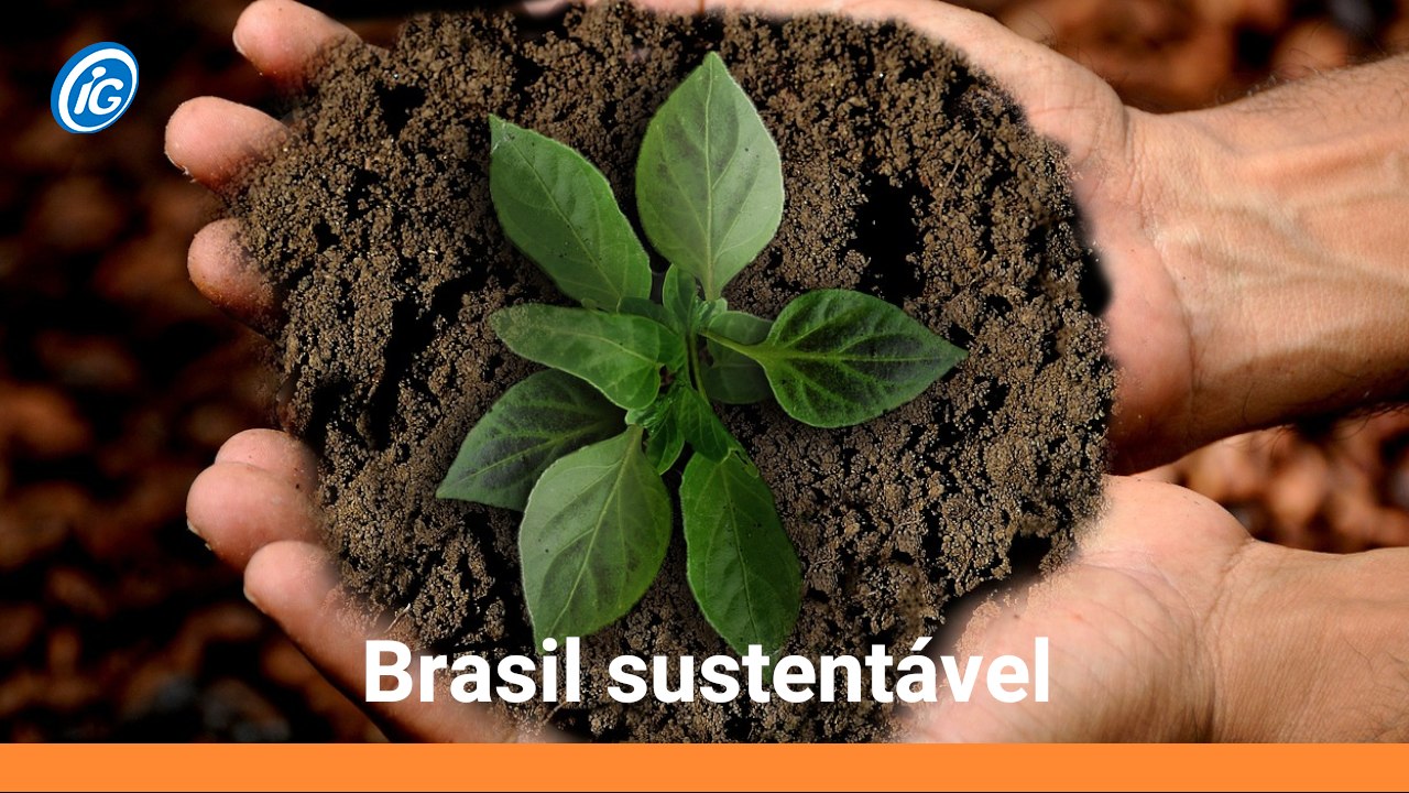 Brasil Sustentável