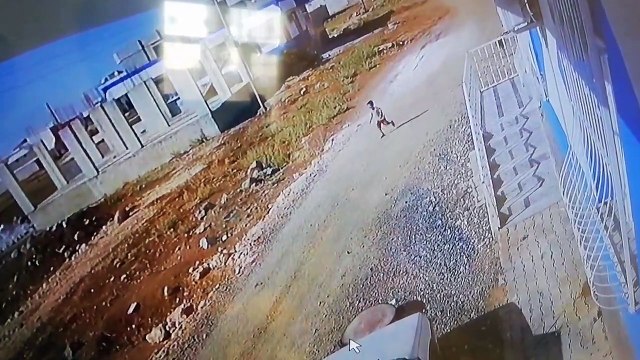 Başıboş köpeklerden 1 gün arayla aynı yerde 2 saldırı! Yeter, bu milletin evlatlarına bu zulmü reva görmeyin!