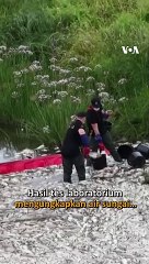 10 Ton Ikan Mati yang Ada di Sungai Oder hingga Kini Masih Misteri