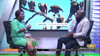 Vulture Extinction: What needs to be done to overturn issue and revert effects - The Big Agenda on Adom TV (16-8-22)