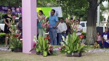 Alcalde Michel pide disculpas y reinstala la “Cruz del Memorial” | CPS Noticias Puerto Vallarta