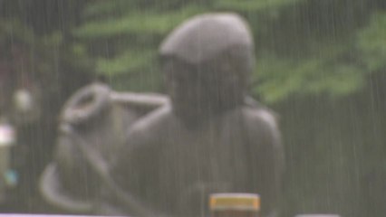 [날씨] 제주도·영동 많은 비, 120mm↑...내륙 더위 속 소나기 / YTN