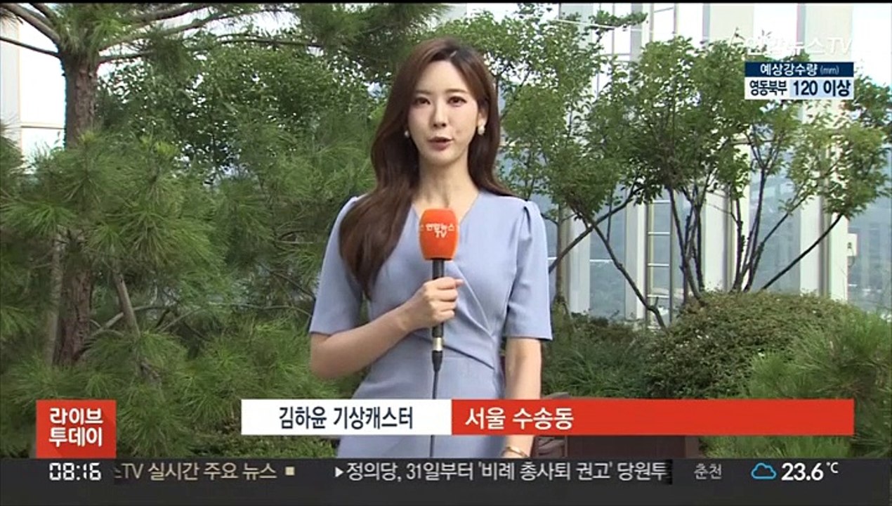 [날씨] 무더위 속 내륙 소나기…제주도 호우특보