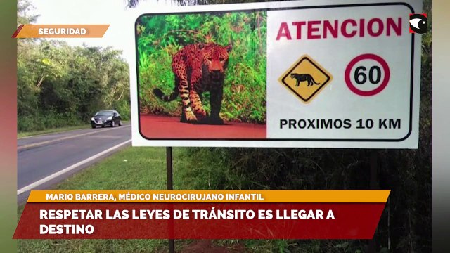 Sala cinco | Seguridad vial en Misiones