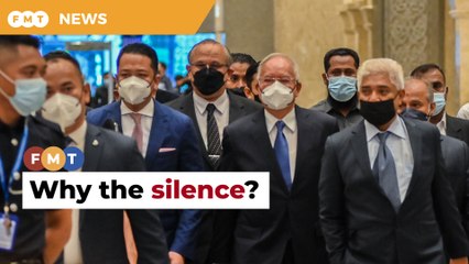 ​​Umno’s silence as Najib fights for fair trial wrong, says insider