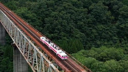 Japanese train runs on ramen oil